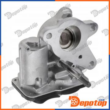 Vanne EGR pour RENAULT | 6991420900, EGR-RE-025